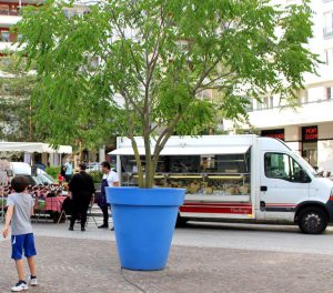 Marché des Bruyères - Bois-Colombes