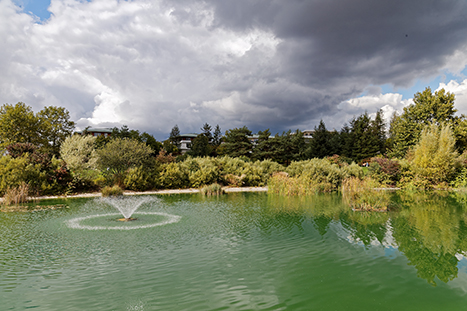 Parc des Bruyères