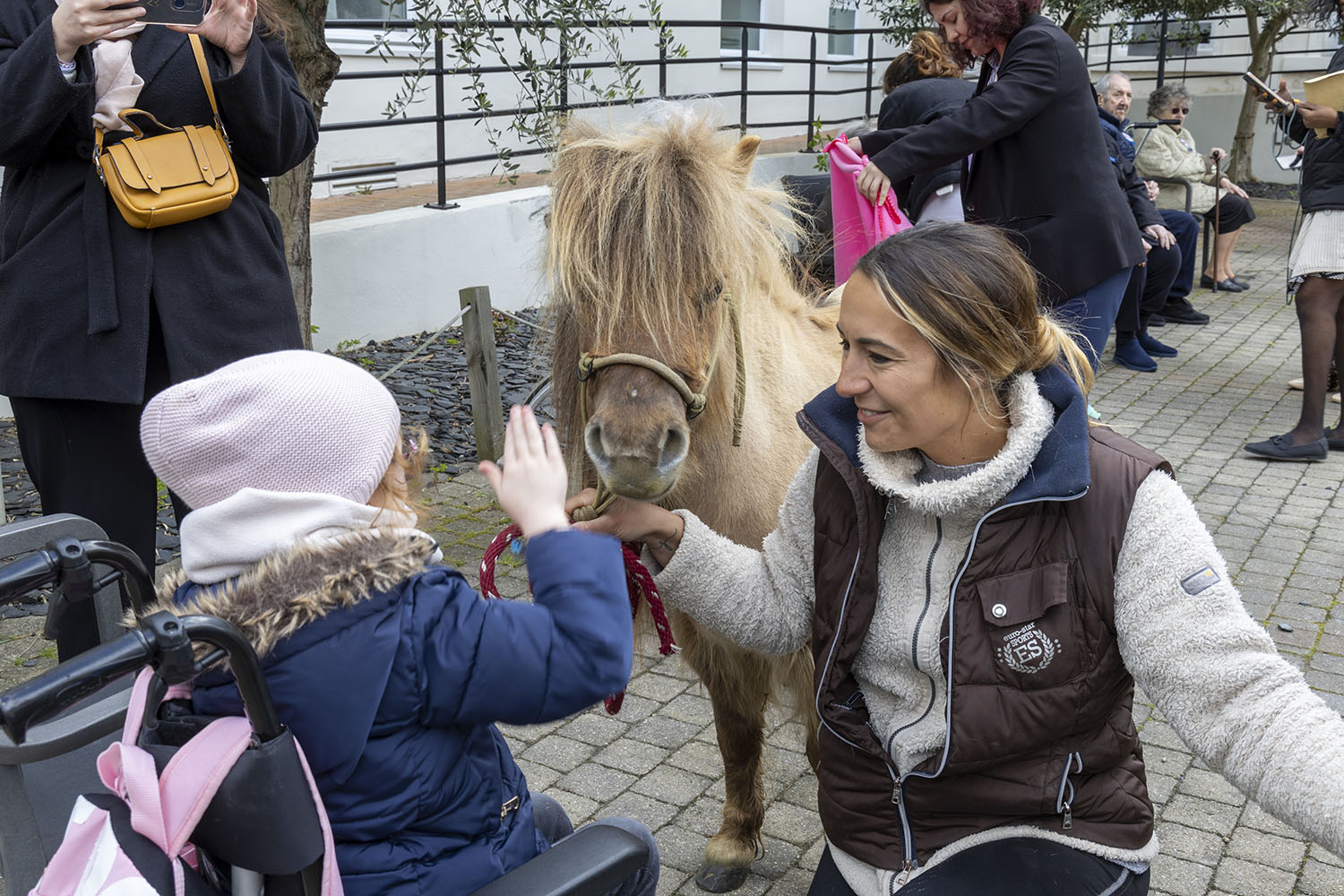 PHOTOS : ÉQUITHÉRAPIE À LA RÉSIDENCE LE CAP