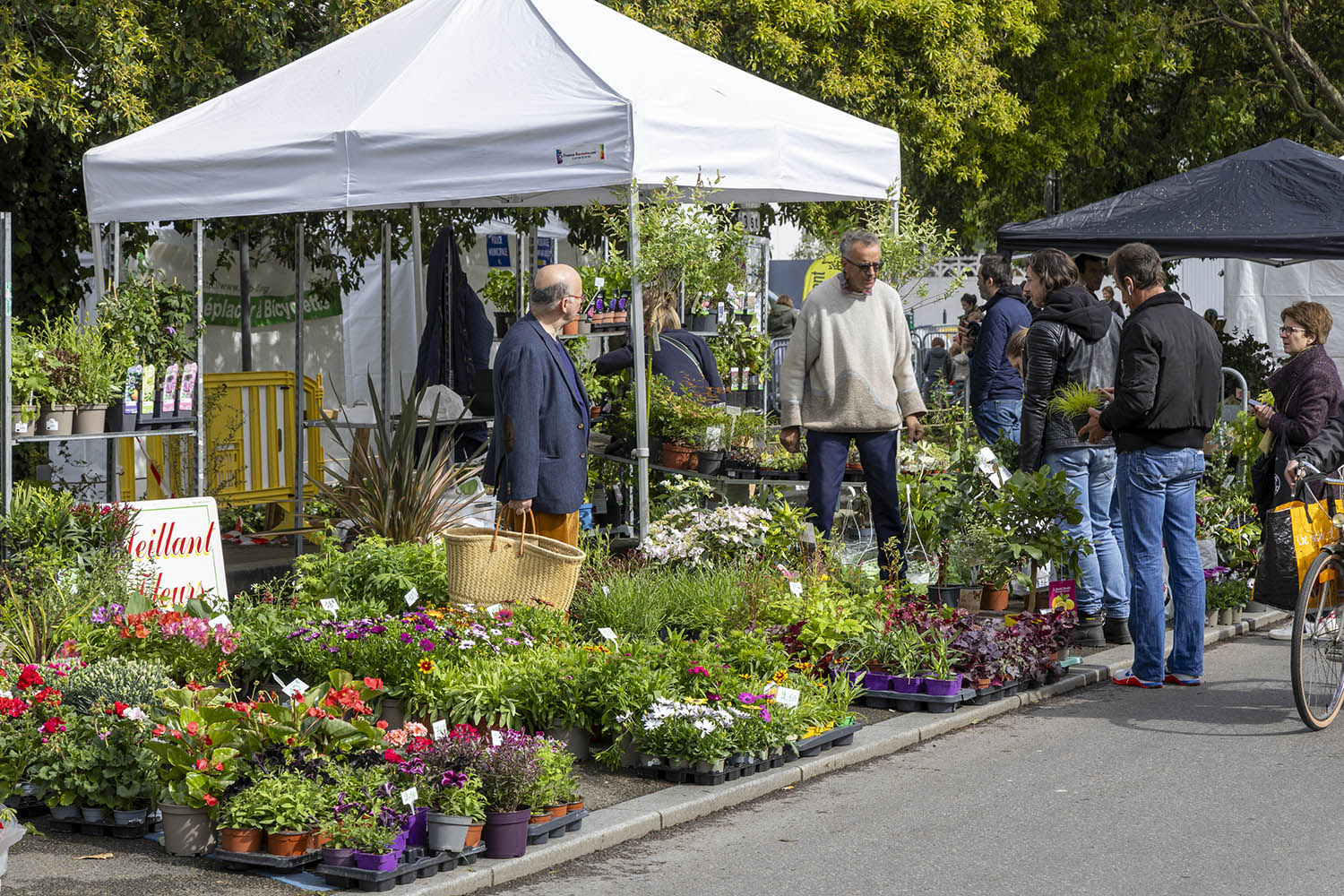 Photos : TROC ET JARDIN 2024